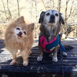 Meet your Posher, Emily